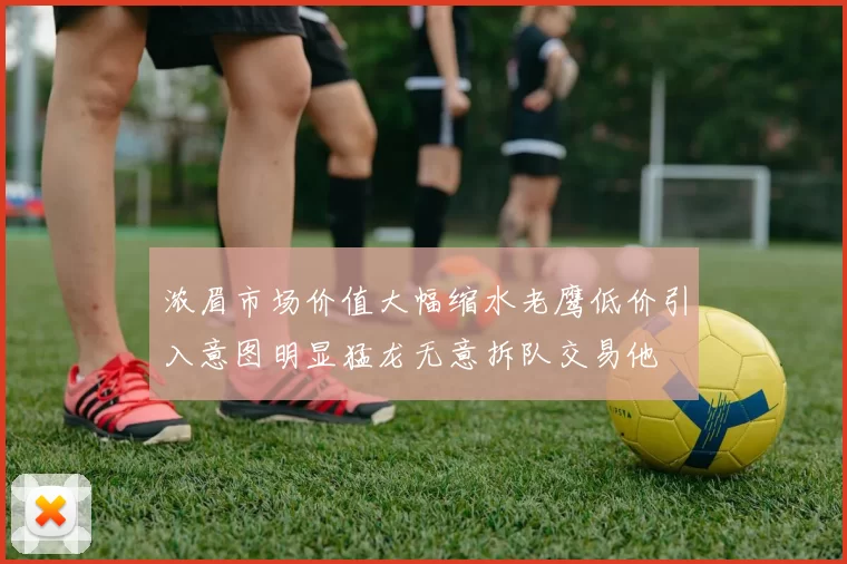 浓眉市场价值大幅缩水老鹰低价引入意图明显猛龙无意拆队交易他