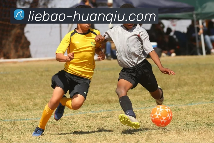 环球体育平台生态图